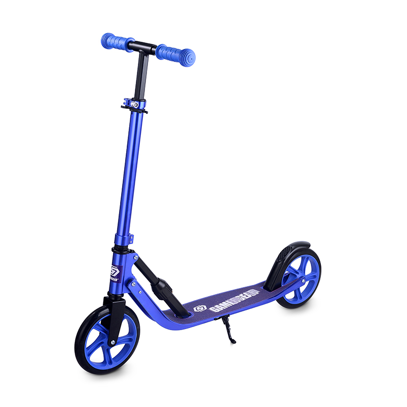 FOLDABLE 2 BIG WHEELS FITNESS URBAN CITY SCOOTER 